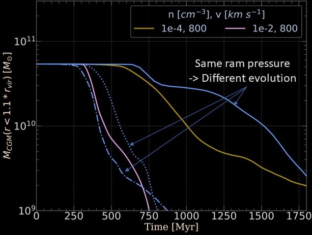 cgm